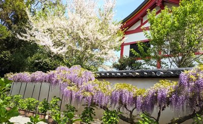 🖼️ 칸나미 부처 마을 미술관 (칸나미부쓰노사토비주쓰칸)